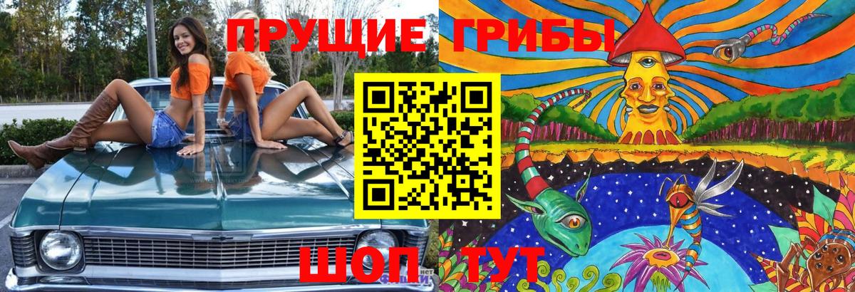 Галлюциногенные грибы ЛСД Фролово